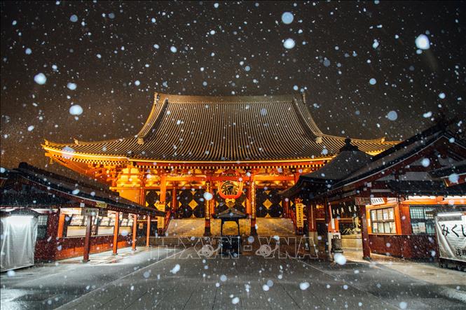 Trong ảnh: Tuyết rơi dày tại thủ đô Tokyo, Nhật Bản ngày 10/2/2022. Ảnh: THX/TTXVN