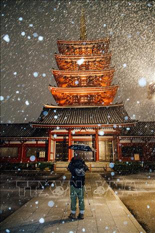 Trong ảnh: Tuyết rơi dày tại thủ đô Tokyo, Nhật Bản ngày 10/2/2022. Ảnh: THX/TTXVN