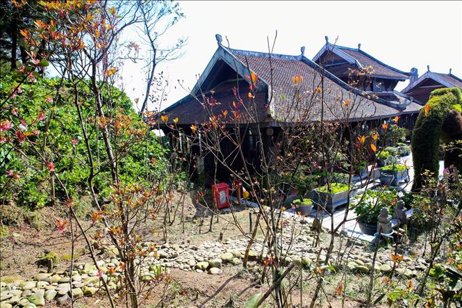 Photo: Bell-shaped peach shine its beauty in the warm spring weather in Ba Na Hills. VNA Photo: Trần Lê Lâm