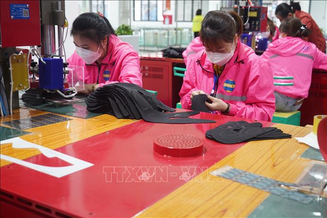 Trong ảnh: 4.500 công nhân Công ty TNHH Viet Glory đã đi làm trở lại ngày 14/2. Ảnh: Bích Huệ - TTXVN