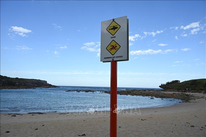 Trong ảnh: Một biển cảnh báo dựng tại bờ biển Little Bay, thành phố Sydney, Australia sau vụ cá mập tấn công gây chết người, ngày 17/2/2022. Ảnh: AFP/TTXVN