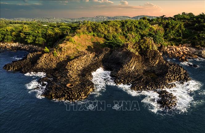 Trong ảnh: Di tích quốc gia đặc biệt Gành đá đĩa, huyện Tuy An, Phú Yên. Ảnh: Châu Đạo Cường-TTXVN phát