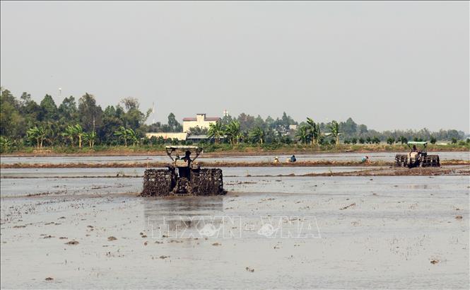 Photo: Farmers in Tan Hiep A commune, Tan Hiep district, till fields for the 2021-2022 winter-spring crop. VNA Photo: Lê Huy Hải