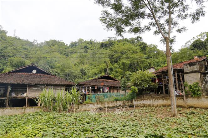 Photo: 100-year-old stilt houses of Tay ethnic people. VNA Photo: Nam Sương