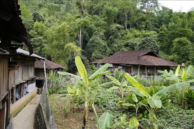 Photo: 100-year-old stilt houses of Tay ethnic people. VNA Photo: Nam Sương