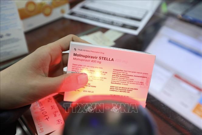 Giá thuốc Molnupiravir Stella 400mg (Molnupiravir 400 mg) của Công ty TNHH liên doanh Stellapharm chi nhánh 1 có giá 12.500 đồng/viên (dạng viên nang cứng), mỗi hộp 1 vỉ hoặc 2 vỉ x 10 viên. Ảnh: Minh Quyết - TTXVN