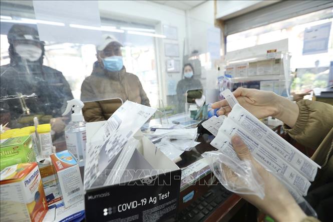 Trước diễn biến phức tạp của dịch COVID-19 trên địa bàn Hà Nội với số ca tăng nhanh liên tục, người dân đổ xô đi mua kit xét nghiệm COVID-19. Ảnh: Minh Quyết - TTXVN