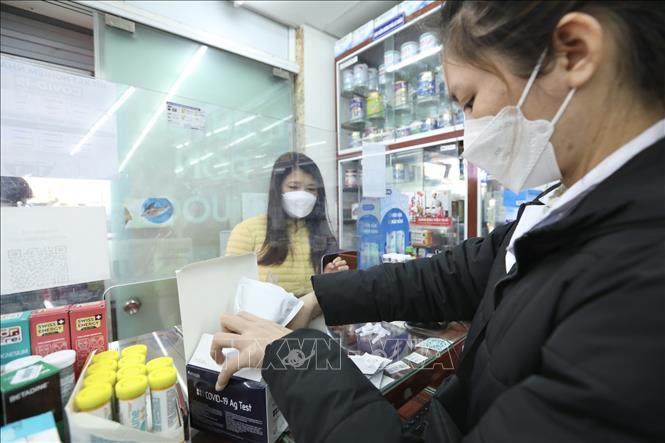 Trước diễn biến phức tạp của dịch COVID-19 trên địa bàn Hà Nội với số ca tăng nhanh liên tục, người dân đổ xô đi mua kit xét nghiệm COVID-19. Ảnh: Minh Quyết - TTXVN