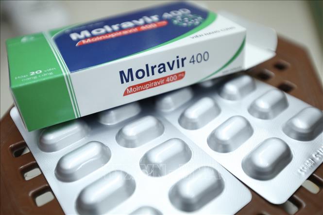 Thuốc điều trị COVID-19 chứa hoạt chất Monulpiravir chính hãng cho bệnh nhân F0 điều trị tại nhà và có chỉ định của bác sĩ được bán với giá 250.000 đồng cho một liệu trình. Ảnh: Minh Quyết - TTXVN