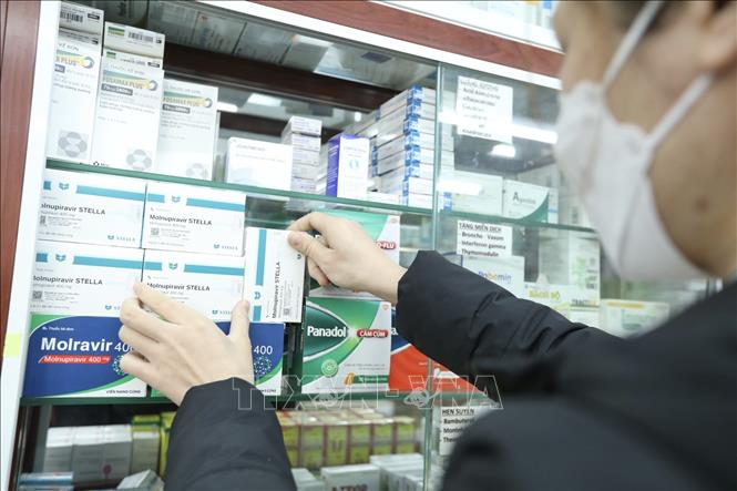Sau khi có hướng dẫn bán thuốc từ Bộ Y tế, hệ thống nhà thuốc FPT Long Châu đã chính thức mở bán thuốc kháng virus điều trị COVID-19 có thành phần hoạt chất chứa Molnupiravir. Ảnh: Minh Quyết - TTXVN