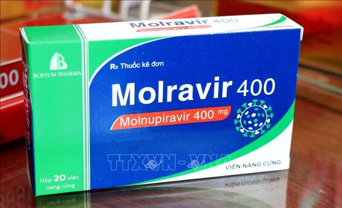 Trong ảnh: Hộp thuốc Monulpiravir điều trị COVID-19. Ảnh: Đinh Văn Nhiều-TTXVN