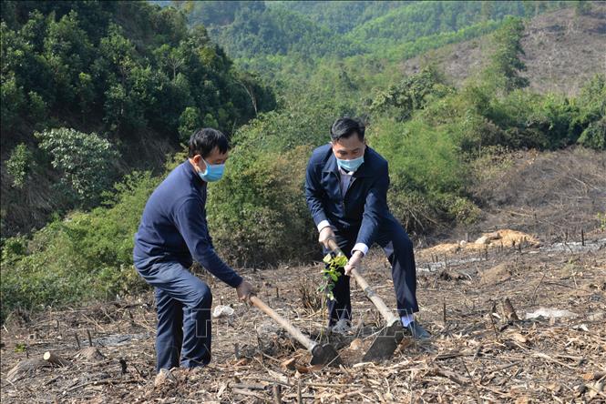 Trong ảnh: Cán bộ trực tiếp xuống thực địa, trồng cây cùng người dân. Ảnh: Thanh Vân - TTXVN
