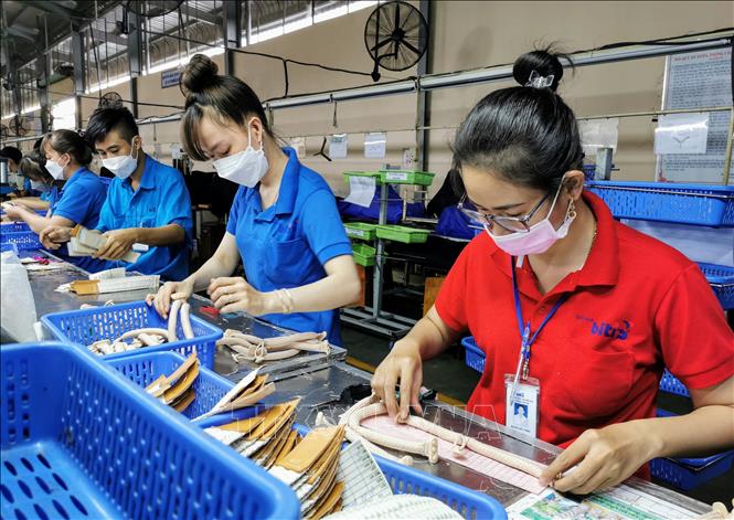 Cần Thơ tăng cường hỗ trợ doanh nghiệp phục hồi sản xuất sau dịch - Ảnh  thời sự trong nước - Kinh tế - Thông tấn xã Việt Nam (TTXVN)