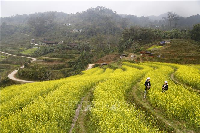 Trong ảnh: Lễ hội năm nay được kỳ sẽ góp phần giúp người dân xã Hồng Thái thu hút thêm nhiều khách du lịch từ khắp mọi miền cả nước. Ảnh: Nam Sương - TTXVN