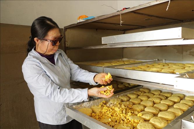 Trong ảnh: Bà Lê Thị Guốt tại xã Tiên Thắng (Tiên Lãng, Hải Phòng) sản xuất tinh bột nghệ đỏ từ nguồn vốn vay của Hội Liên hiệp Phụ nữ xã Tiên Thắng. Ảnh: Minh Thu - TTXVN