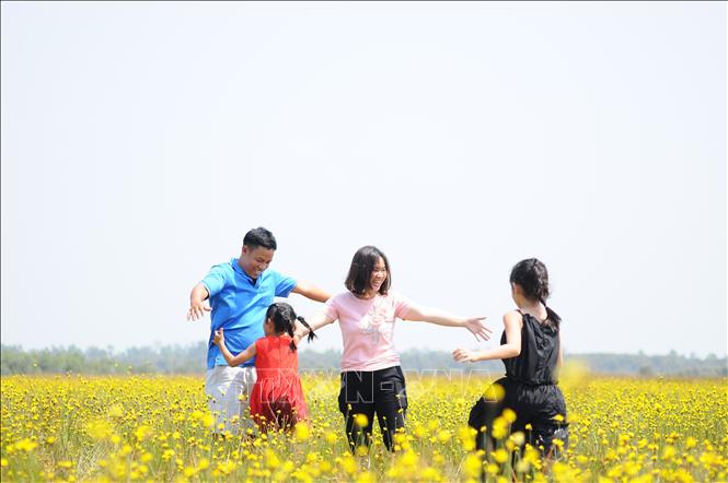 Trong ảnh: Du khách chụp ảnh với hoa hoàng đầu ấn tại Vườn Quốc gia Tràm Chim. Ảnh: Nhựt An - TTXVN