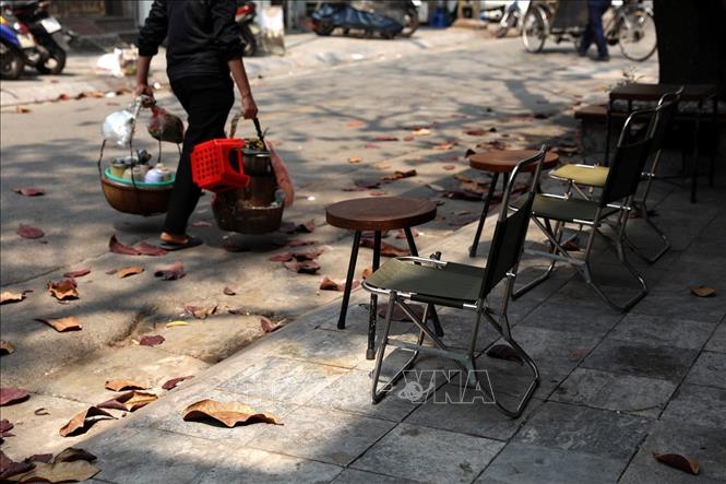 Photo: A peaceful street corner with red leaves and soft sunlight in spring. VNA Photo: Phạm Hậu
