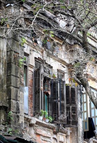Photo: Budding leaves add to the beauty of old French-architectural style house in Hanoi's old quarter. VNA Photo: Nhật Anh