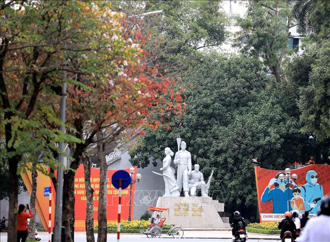 Photo: Budding leaves in red and green as spring comes to Hanoi. VNA Photo: Nhật Anh