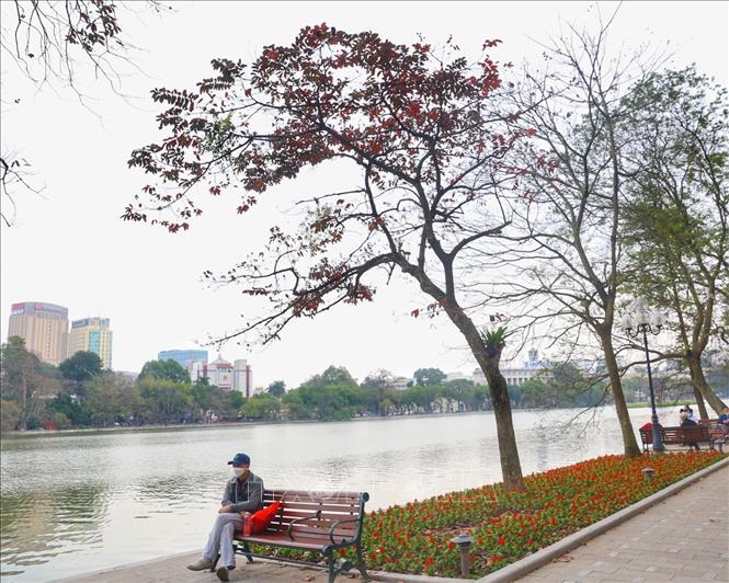 Photo: Hanoi's Sword Lake with misty grey sky and budding leaves. VNA Photo: Tuấn Đức