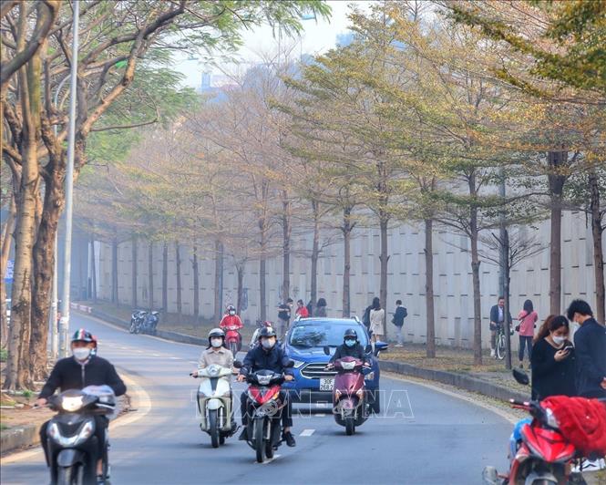 Photo: Buoi street with budding leaves. VNA Photo: Tuấn Đức