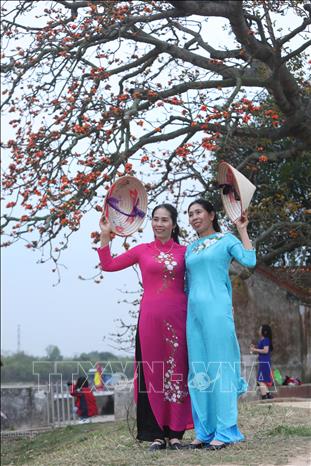 Trong ảnh: Du khách khắp thập phương đổ về đây mỗi dịp hoa nở để chụp ảnh. Ảnh: Danh Lam-TTXVN
