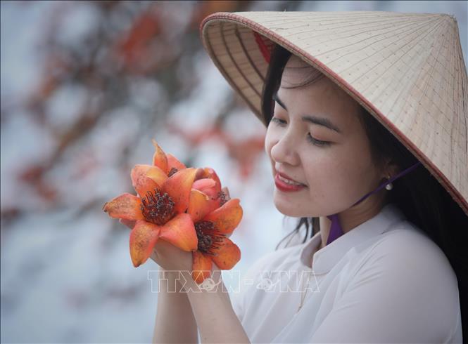 Trong ảnh: Du khách thích thú chụp ảnh cùng những bông hoa gạo. Ảnh: Danh Lam-TTXVN
