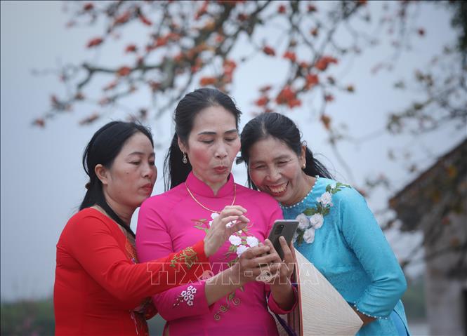 Trong ảnh: Du khách thích thú với những bức ảnh vừa chụp tại cây gạo miếu Bà Cô. Ảnh: Danh Lam-TTXVN