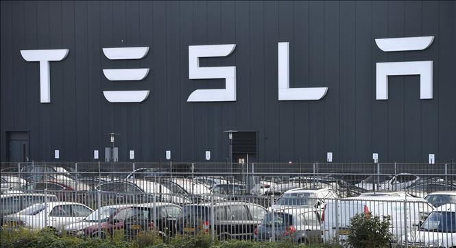 Trong ảnh: Phòng trưng bày của Tesla tại Amsterdam, Hà Lan. Ảnh: AFP/TTXVN