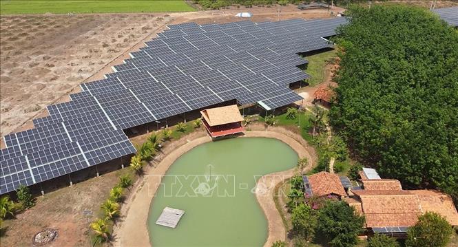 Trong ảnh: Dự án điện năng lượng mặt trời kết hợp với canh tác nông nghiệp, công suất 1,4MW của một hộ dân tại xã Lộc Khánh, huyện Lộc Ninh. Ảnh: Sỹ Tuyên – TTXVN