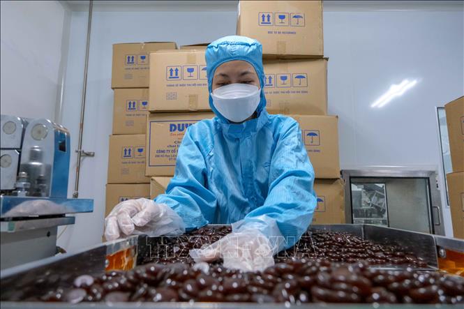 Trong ảnh: Sản phẩm kẹo ngậm được sản xuất tại Nhà máy dược ADC Cần Thơ. Ảnh: Thanh Liêm - TTXVN
