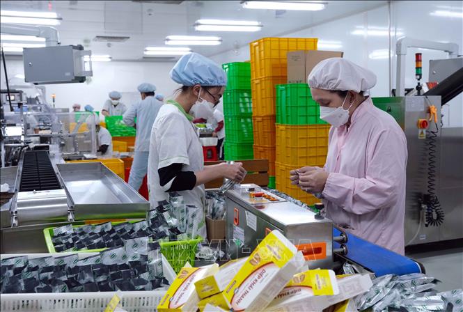 Trong ảnh: Khu vực đóng gói trong Nhà máy dược phẩm ADC Cần Thơ. Ảnh: Thanh Liêm - TTXVN