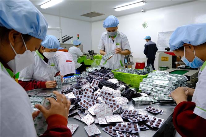 Trong ảnh: Khu vực đóng gói trong Nhà máy dược phẩm ADC Cần Thơ. Ảnh: Thanh Liêm - TTXVN