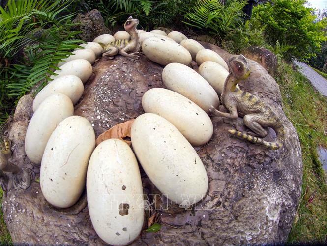 Trong ảnh: Mô hình trứng và khủng long con tại Khu du lịch Công viên suối khoáng nóng Núi Thần Tài (huyện Hòa Vang, thành phố Đà Nẵng). Ảnh: Trần Lê Lâm - TTXVN 