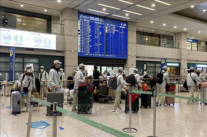 Photo: Some 100 Vietnamese labourers arrive at Incheon Airport, the Republic of Korea, on March 17. VNA Photo