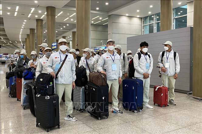 Photo: Some 100 Vietnamese labourers arrive at Incheon Airport, the Republic of Korea, on March 17. VNA Photo
