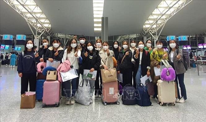 Photo: Twenty one Vietnamese graduates from Dong A University in the central city of Da Nang arrive in Japan for an internship programme in Aijinkai Healthcare Group's hospitals. VNA Photo