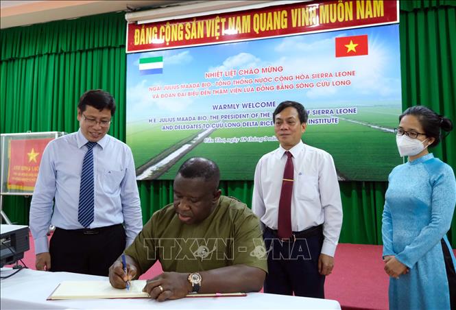 Tổng thống Cộng hòa Sierra Leone Julius Maada Bio viết sổ lưu niệm tại Viện Lúa Đồng bằng sông Cửu Long. Ảnh: Thanh Liêm - TTXVN