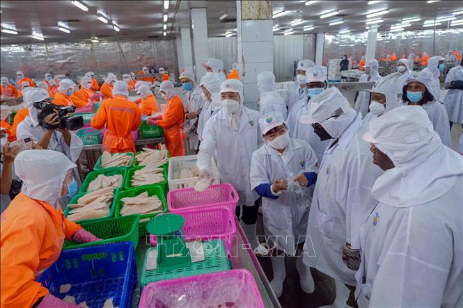 Tổng thống nước Cộng hòa Sierra Leone tham quan dây chuyển chế biến cá tra của Nhà máy Ấn Độ Dương ở Khu công nghiệp Thốt Nốt, TP Cần Thơ. Ảnh: Thanh Liêm - TTXVN