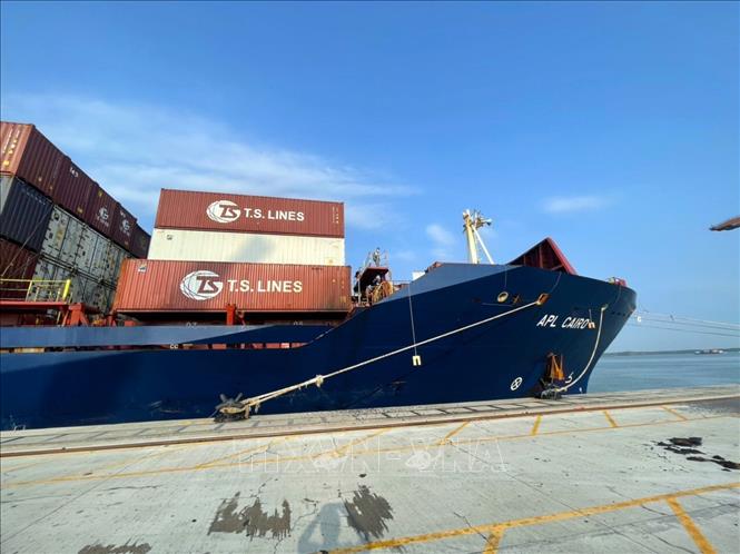Tàu APL CAIRO tại cảng Germalink (Phú Mỹ, Bà Rịa-Vũng Tàu) để rỡ container bị cháy xuống. Ảnh: TTXVN phát