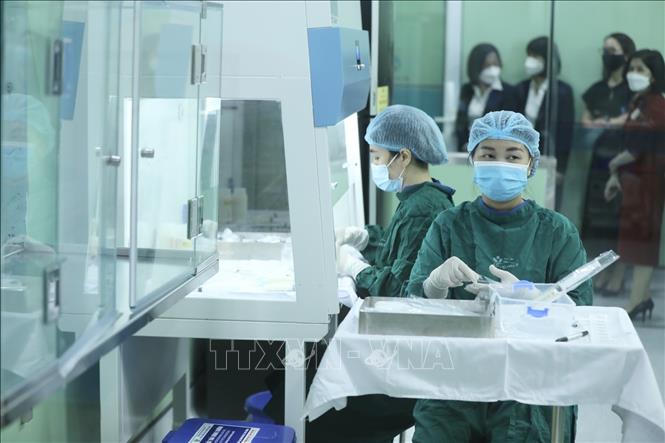 Sữa mẹ thanh trùng được xem là một liều thuốc đặc biệt giúp tăng cường khả năng sống sót cho nhóm trẻ sơ sinh bệnh nặng, chưa thể bú sữa mẹ đẻ đang điều trị tại bệnh viện. Ảnh: Minh Quyết - TTXVN