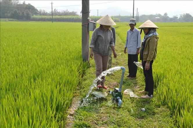 Nông dân thôn Nam Yên, xã Hòa Bắc, huyện Hoà Vang (thành phố Đà Nẵng) triển khai mô hình “giếng thủy lợi”, bơm nước từ giếng khoan để tưới cho cây lúa. Ảnh: Đinh Văn Nhiều - TTXVN
