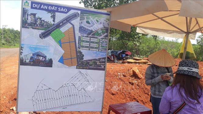 Trong ảnh: Dọc đường ĐT.753  dựng nhiều bảng dự án đất sào. Ảnh: K GỬIH -TTXVN