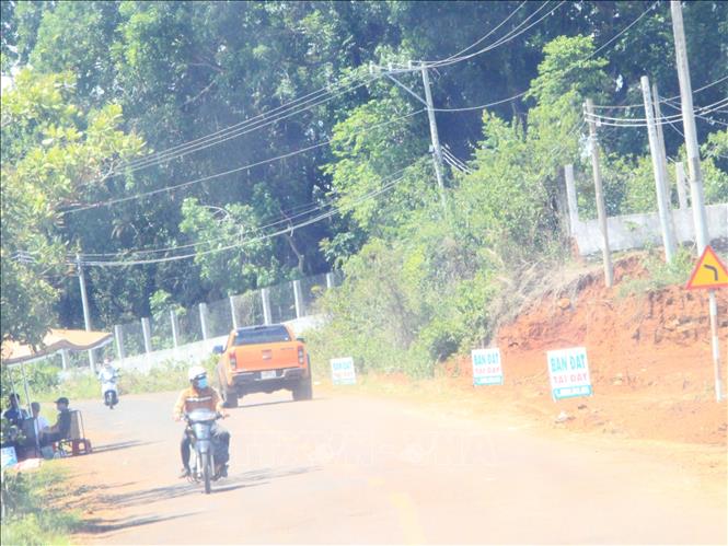 Trong ảnh: Dọc đường ĐT.753 nhiều người rao bán đất, phân lô. Ảnh: K GỬIH -TTXVN
