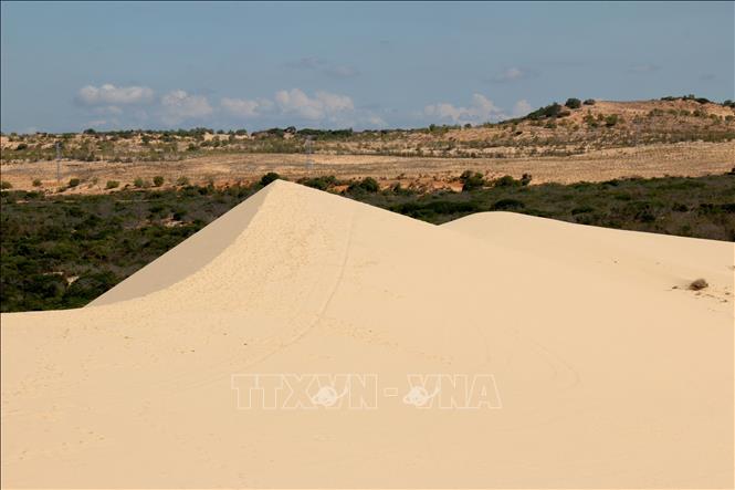 Đồi cát Bàu trắng còn được mệnh danh là “Tiểu sa mạc Sahara” với những ngọn núi cát nhấp nhô với nhiều hình dạng khác nhau và luôn thay đổi do tác động của gió. Nguyễn Thanh - TTXVN