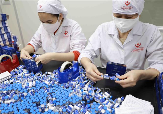 Vaccine phòng bệnh lợn tai xanh là nhóm sản phầm chính của HANVET, được nghiên cứu, sản xuất tại nhà máy ở khu công nghiệp Phố Nối A, huyện Mỹ Hào, tỉnh Hưng Yên. Ảnh: Vũ Sinh - TTXVN