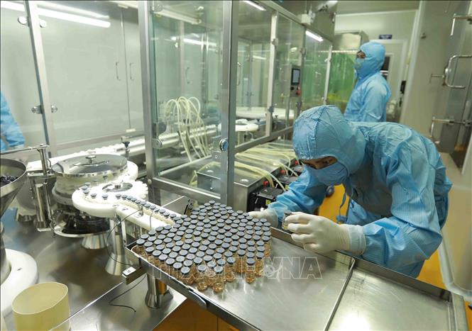 Mỗi năm, Công ty HANVET sản xuất hơn 830 triệu liều của 10 nhóm sản phẩm vaccine phục vụ thị trường. Ảnh: Vũ Sinh – TTXVN