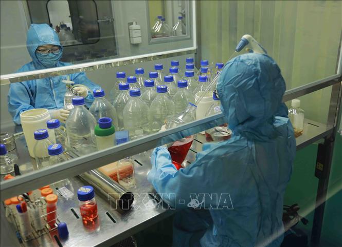 Nghiên cứu sản xuất vaccin từ trứng gà tại nhà máy của Công ty HANVET. Ảnh: Vũ Sinh - TTXVN