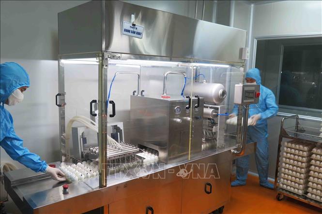 Dây chuyền sản xuất vaccin từ trứng gà tại nhà máy của Công ty HANVET. Ảnh: TTXVN