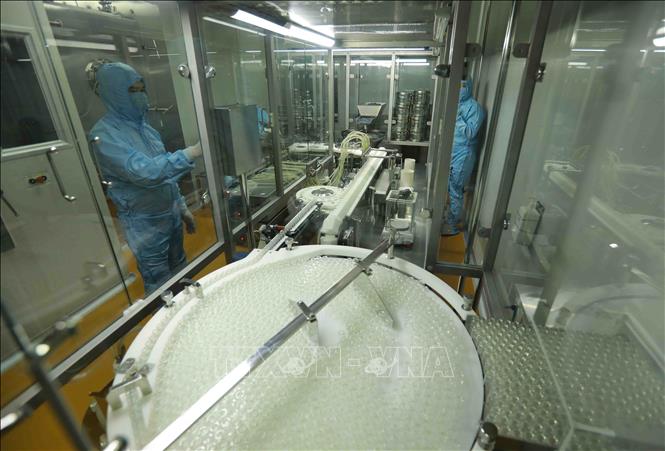 Các nhóm sản phẩm chính của Công ty HANVET phục vụ thị trường trong nước và xuất khẩu. Ảnh: Vũ Sinh – TTXVN